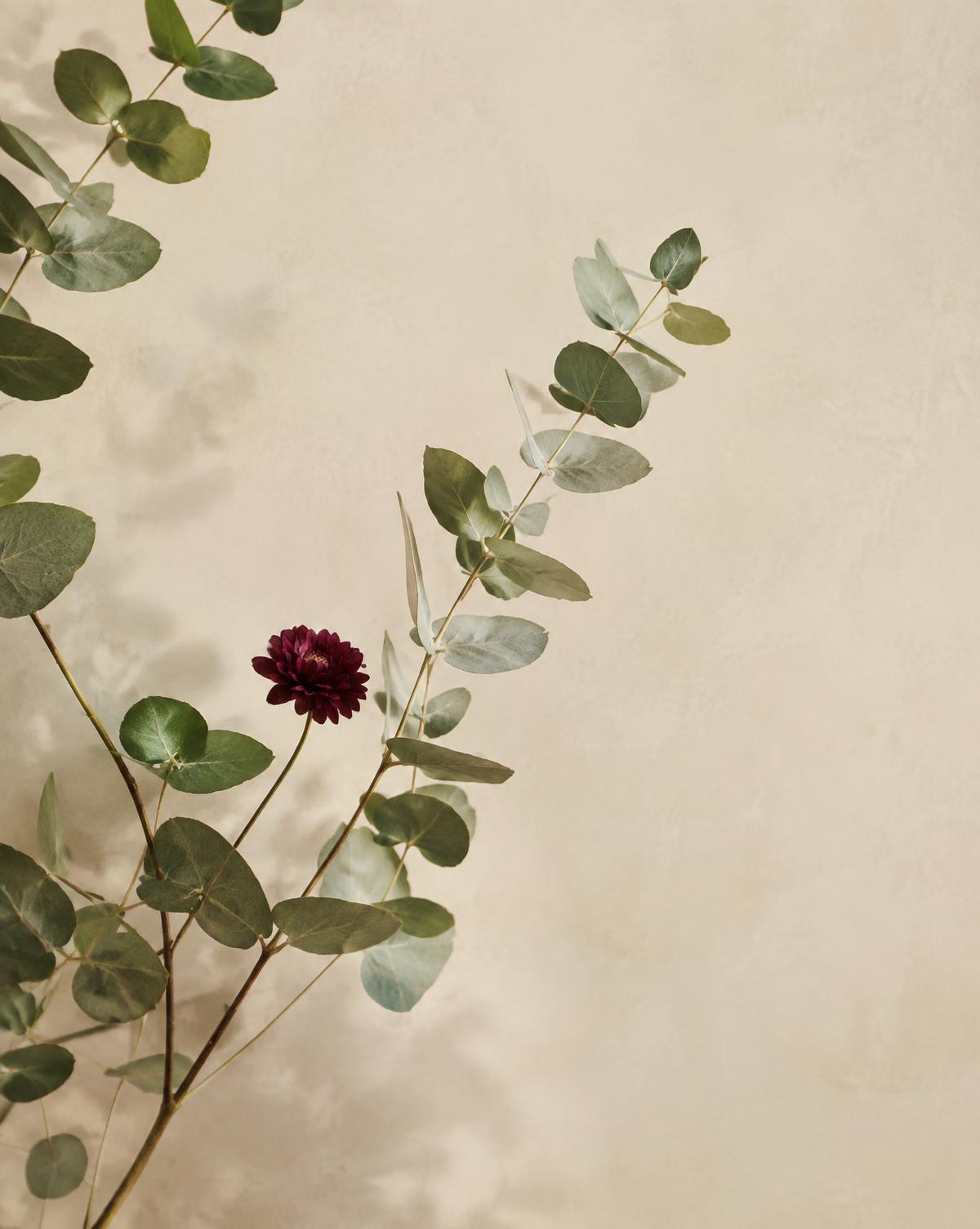Folhas delicadas e flor vinho em fundo claro